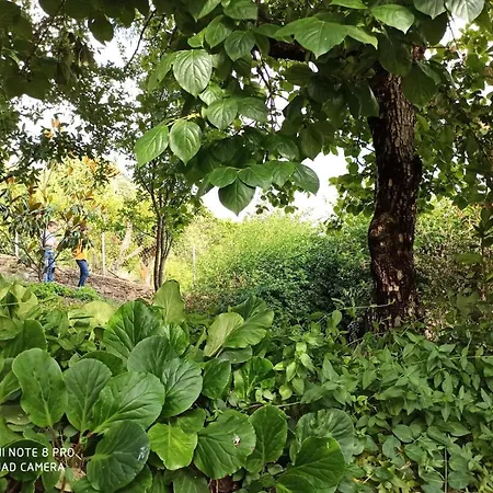 Villa Irene-2